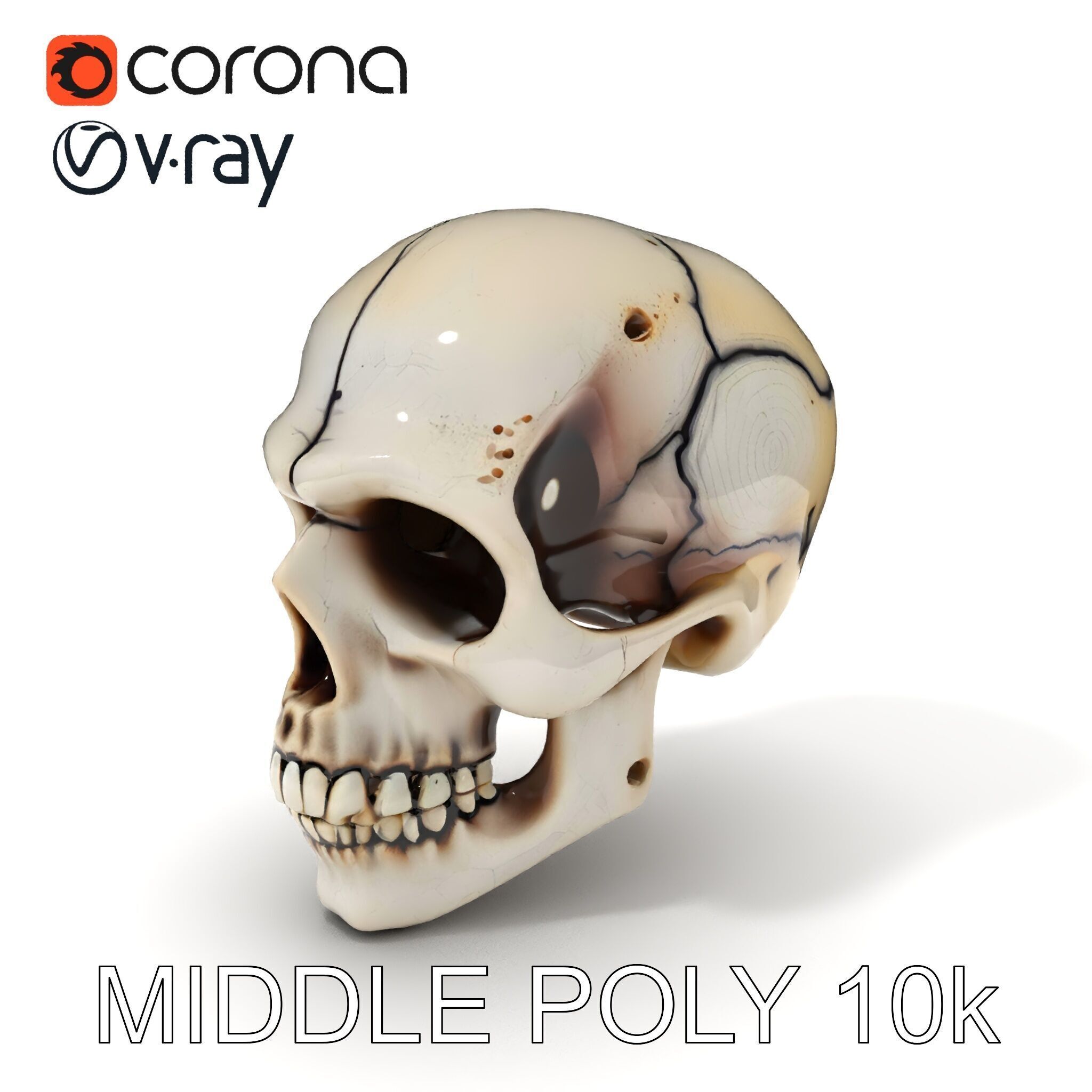 Human Skull Detailed Model Pack Low-poly 3D model_18