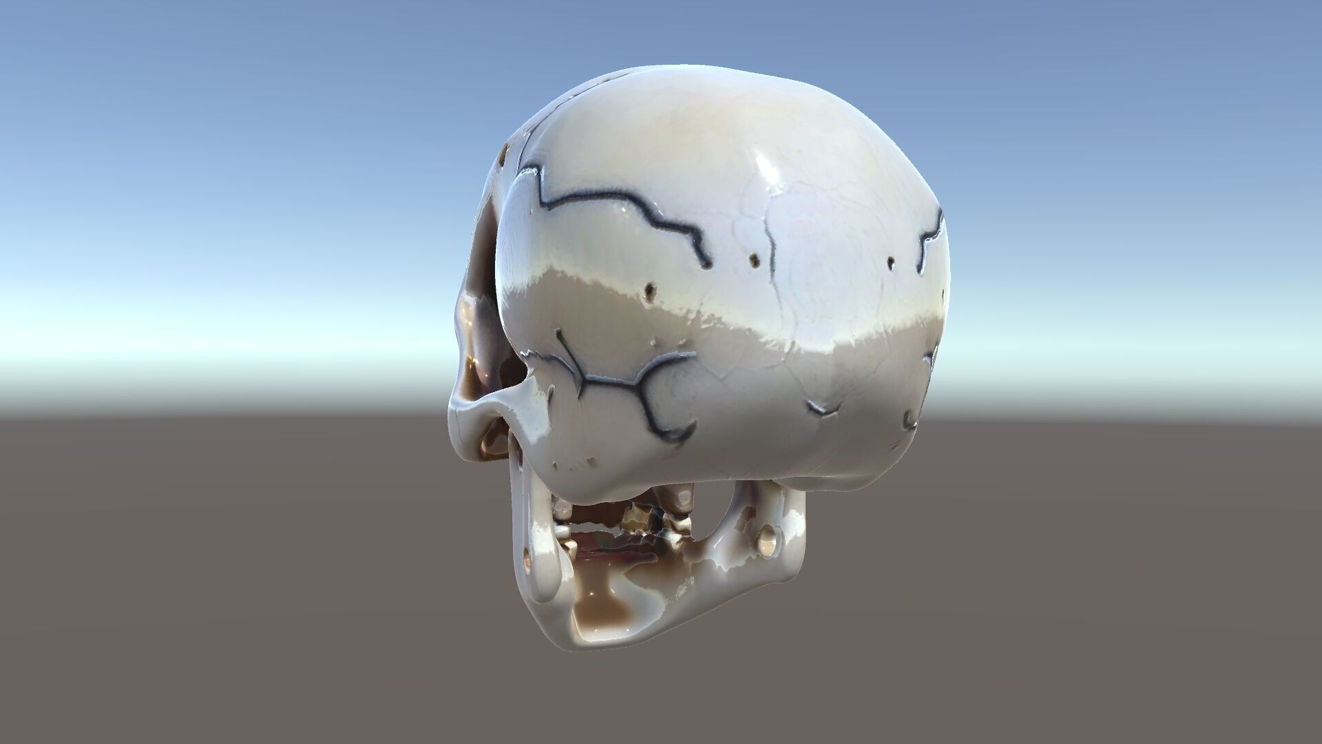 Human Skull Detailed Model Pack Low-poly 3D model_5