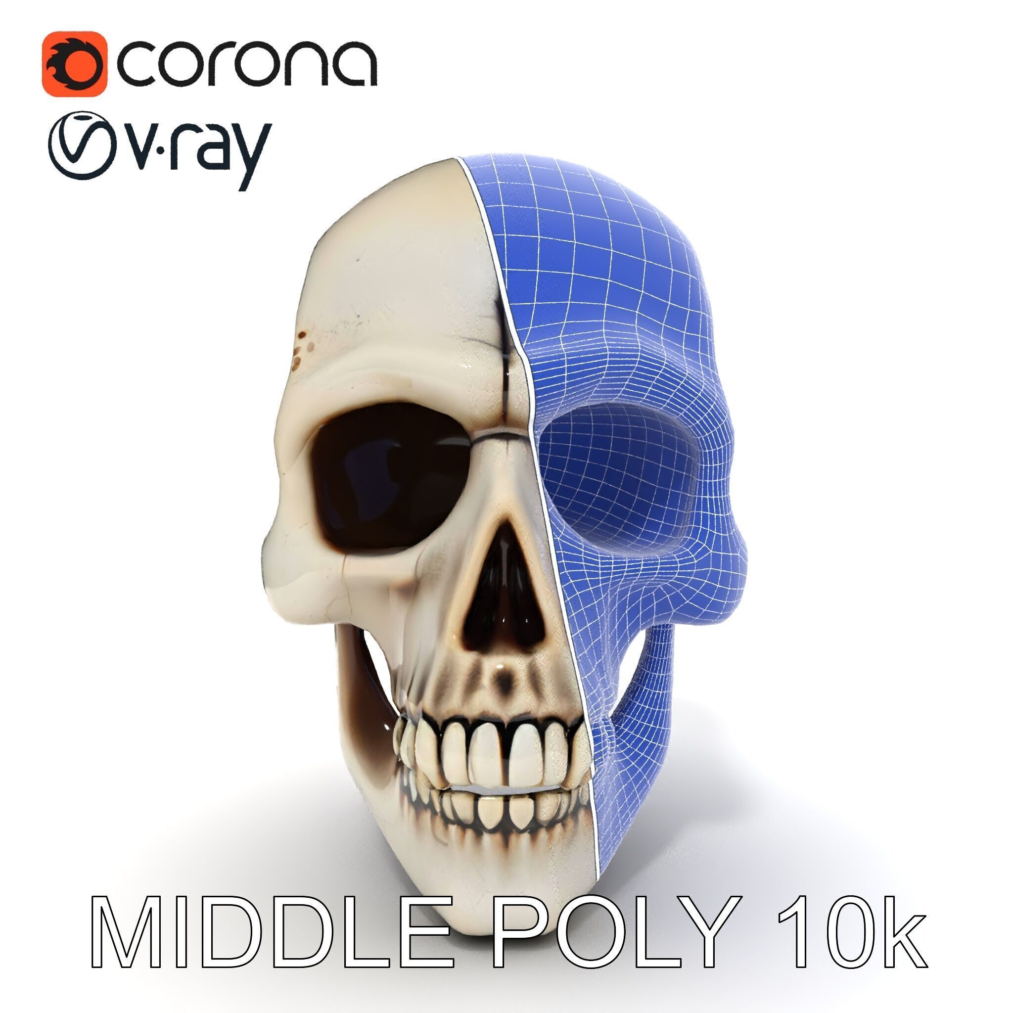 Human Skull Detailed Model Pack Low-poly 3D model_31