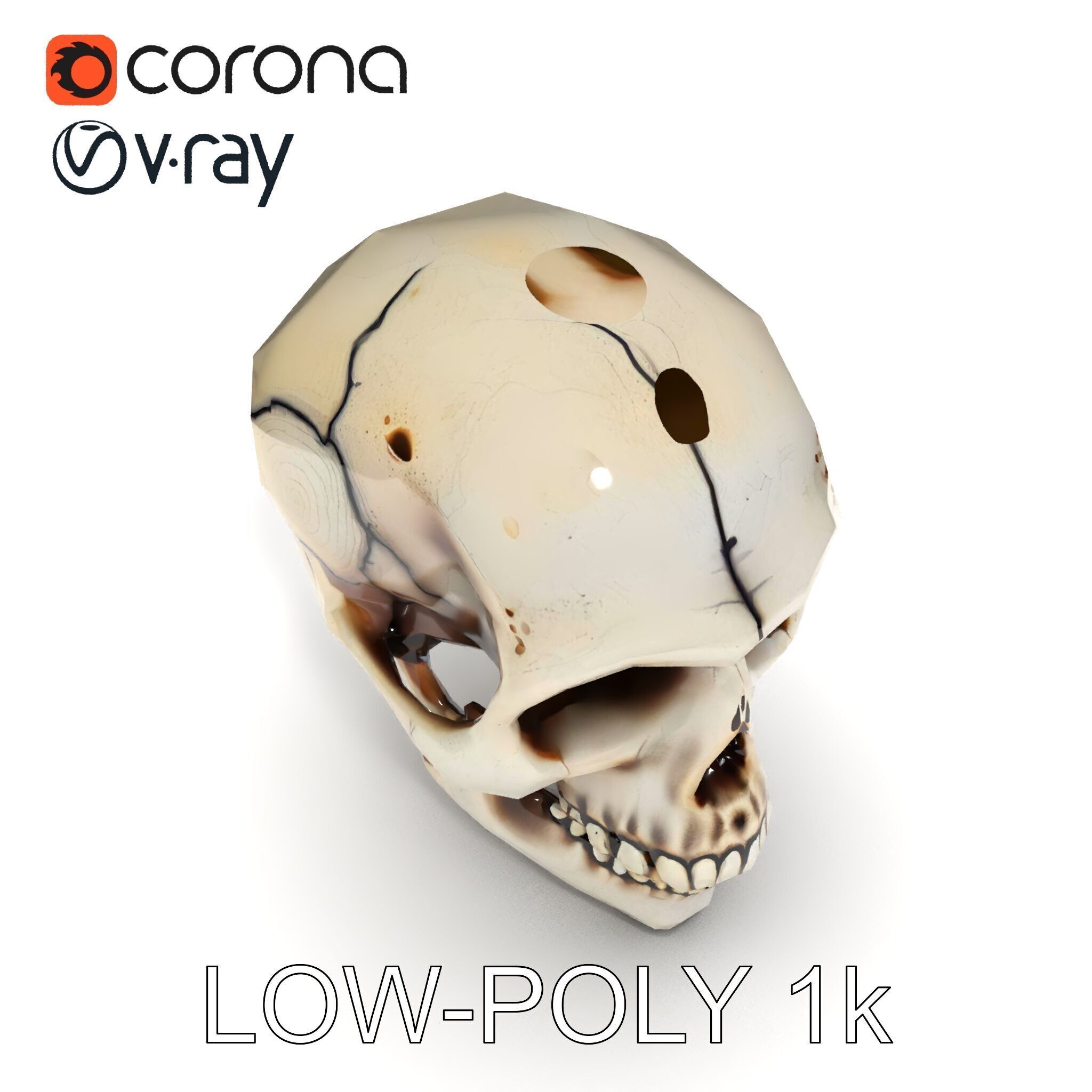 Human Skull Detailed Model Pack Low-poly 3D model_7