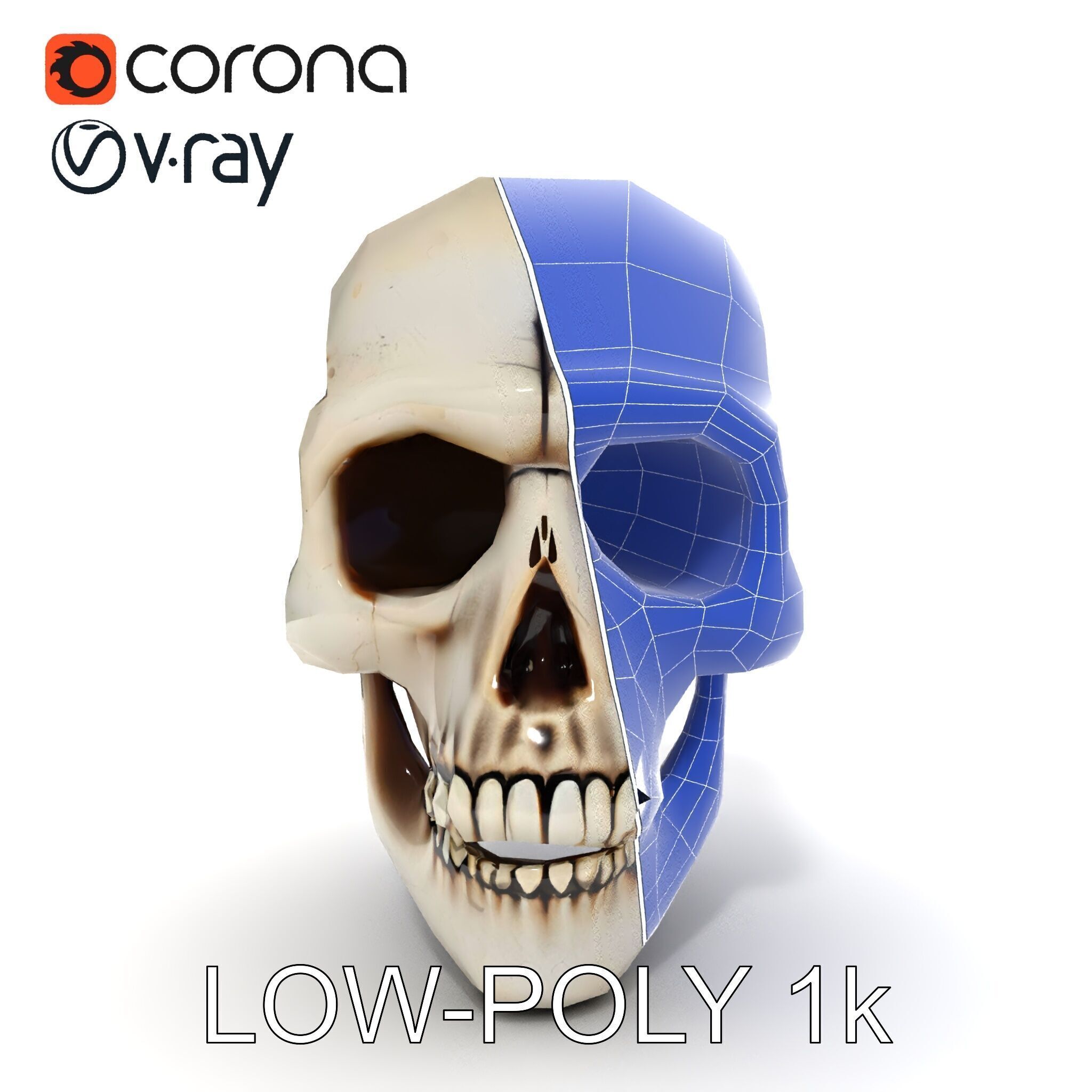 Human Skull Detailed Model Pack Low-poly 3D model_26