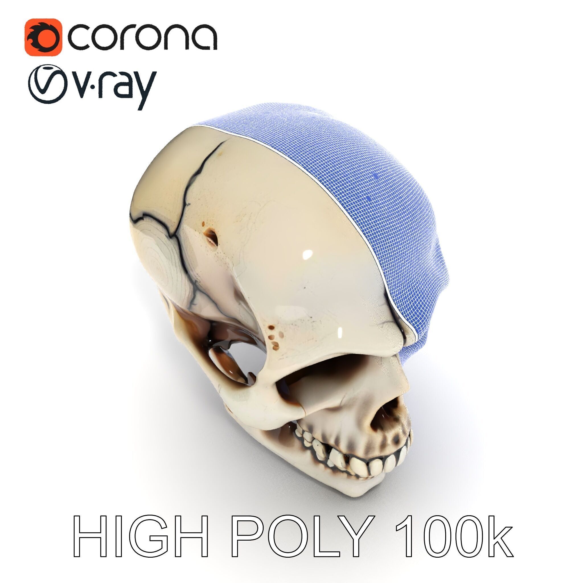 Human Skull Detailed Model Pack Low-poly 3D model_8
