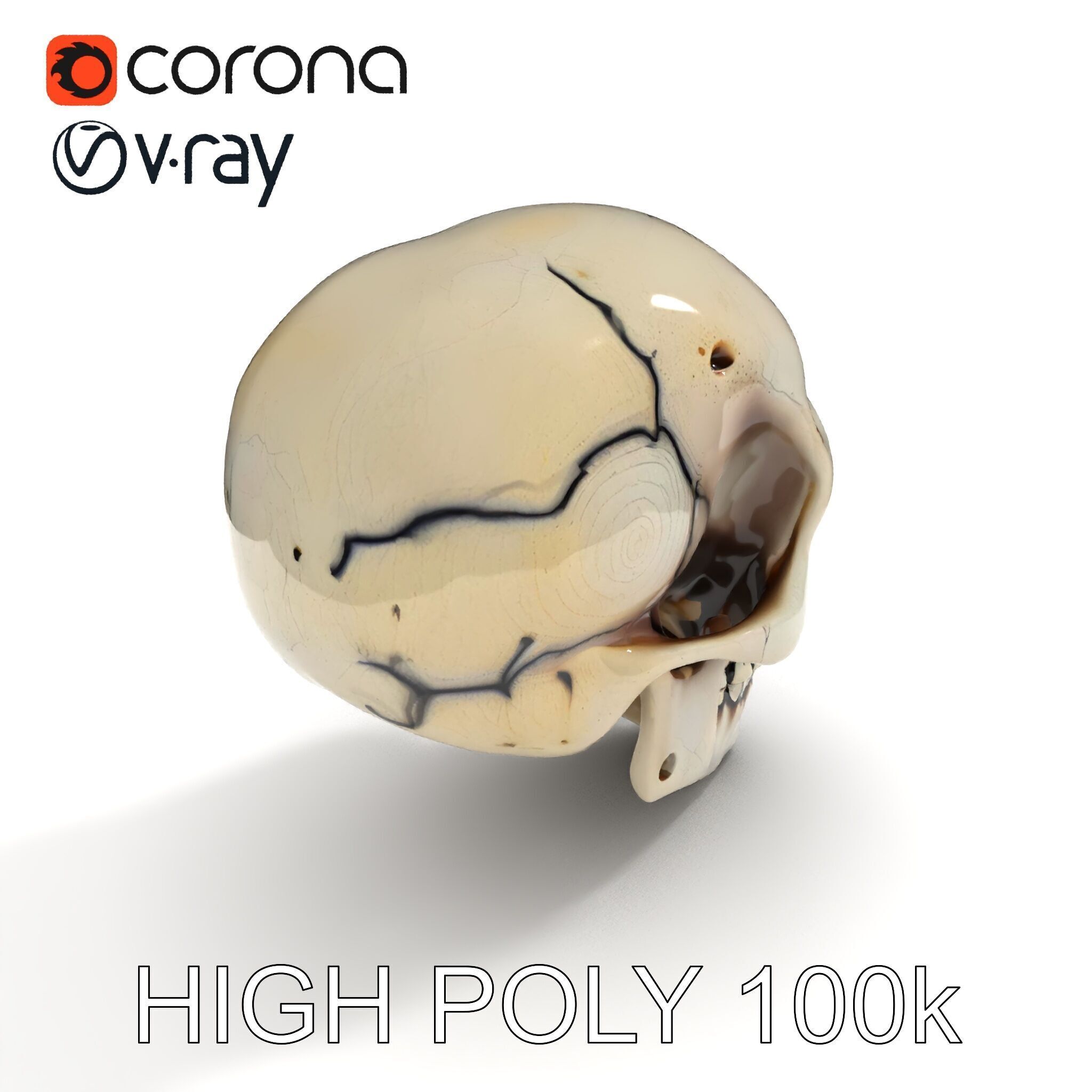 Human Skull Detailed Model Pack Low-poly 3D model_30