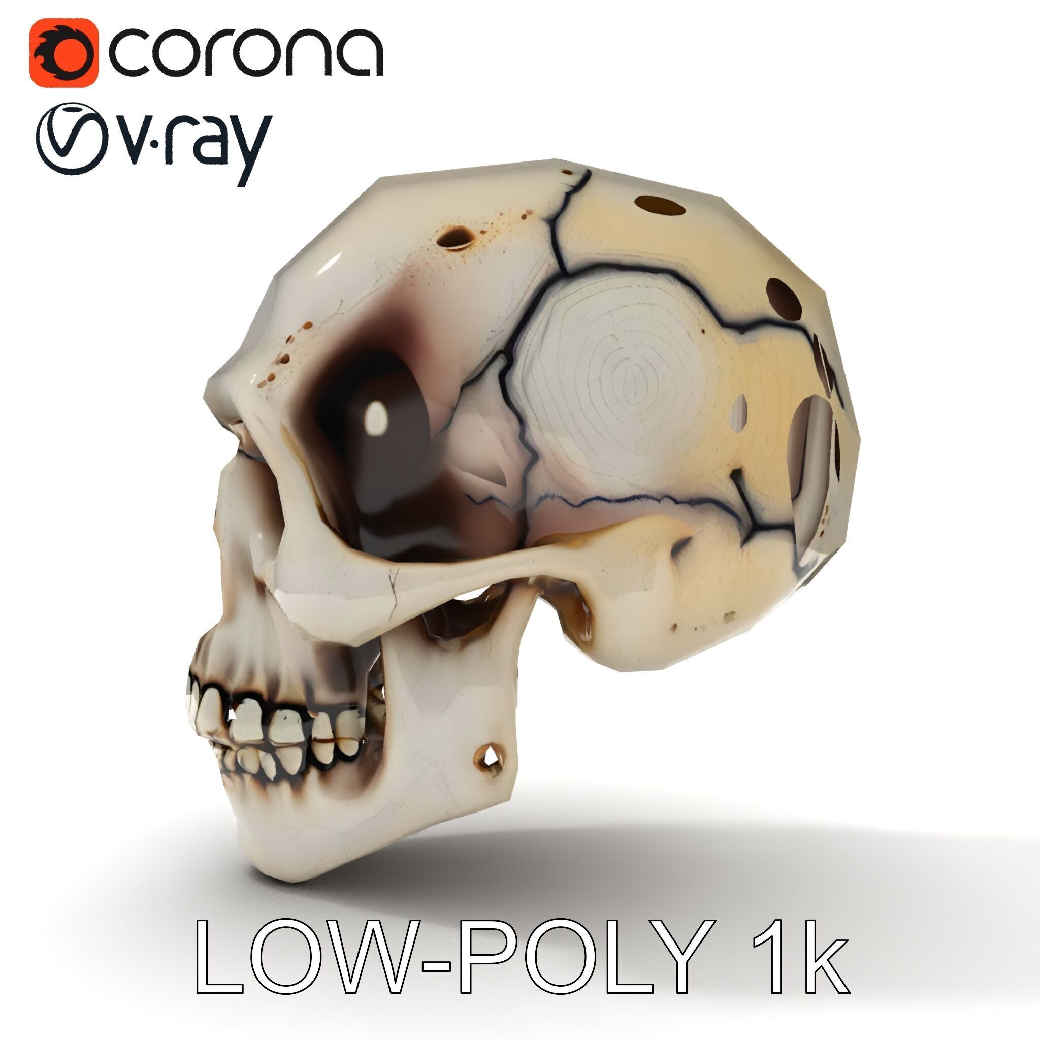 Human Skull Detailed Model Pack Low-poly 3D model_21