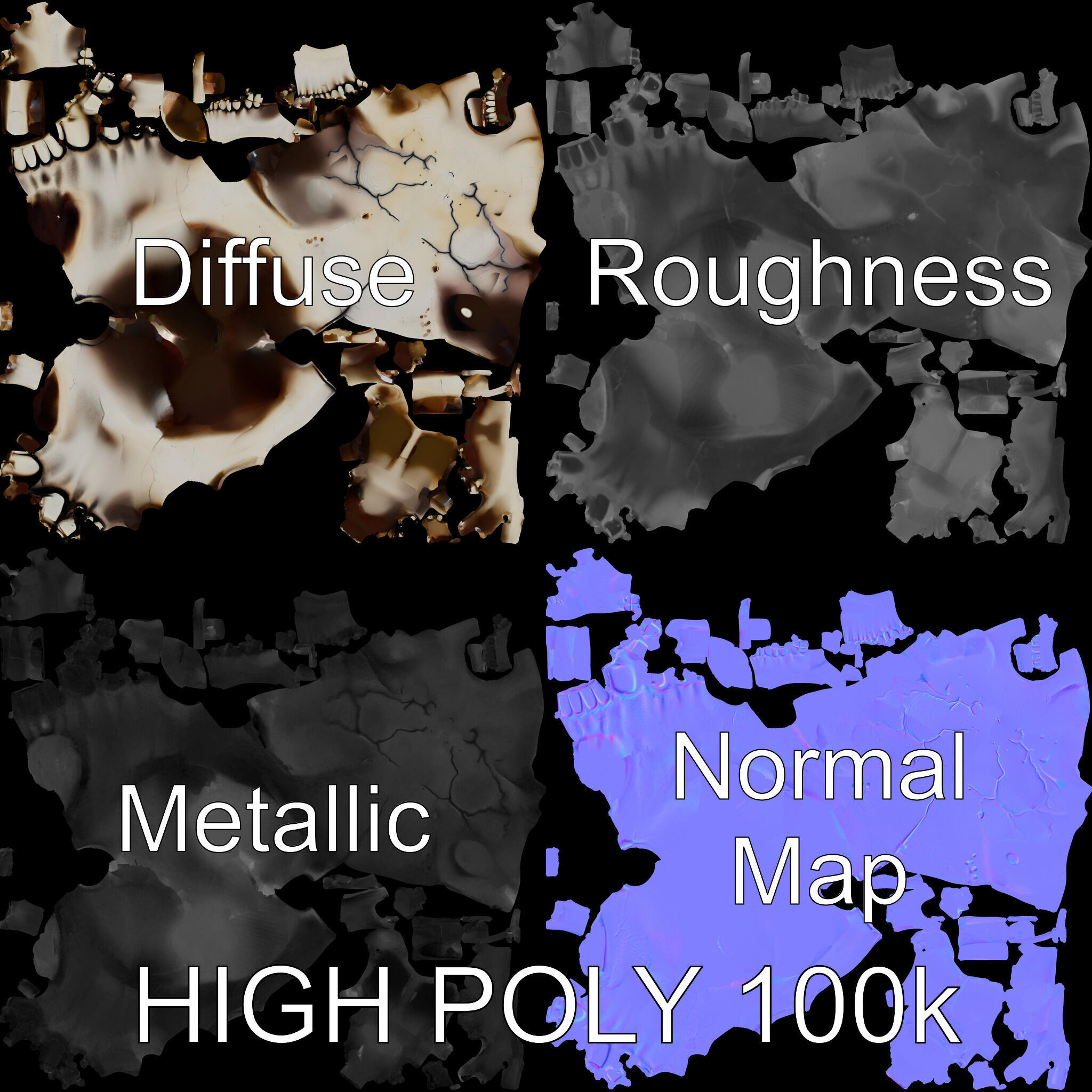 Human Skull Detailed Model Pack Low-poly 3D model_2