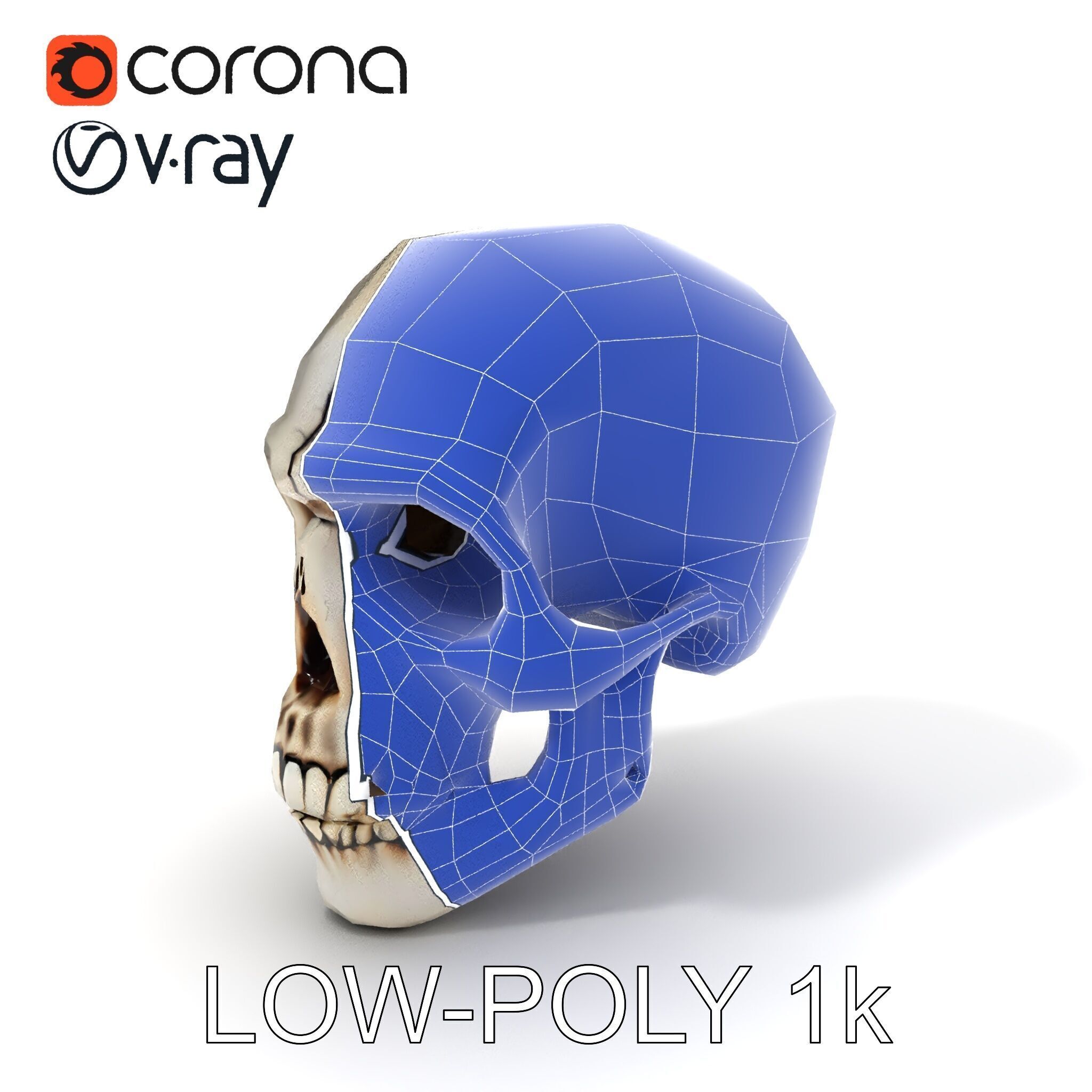 Human Skull Detailed Model Pack Low-poly 3D model_16