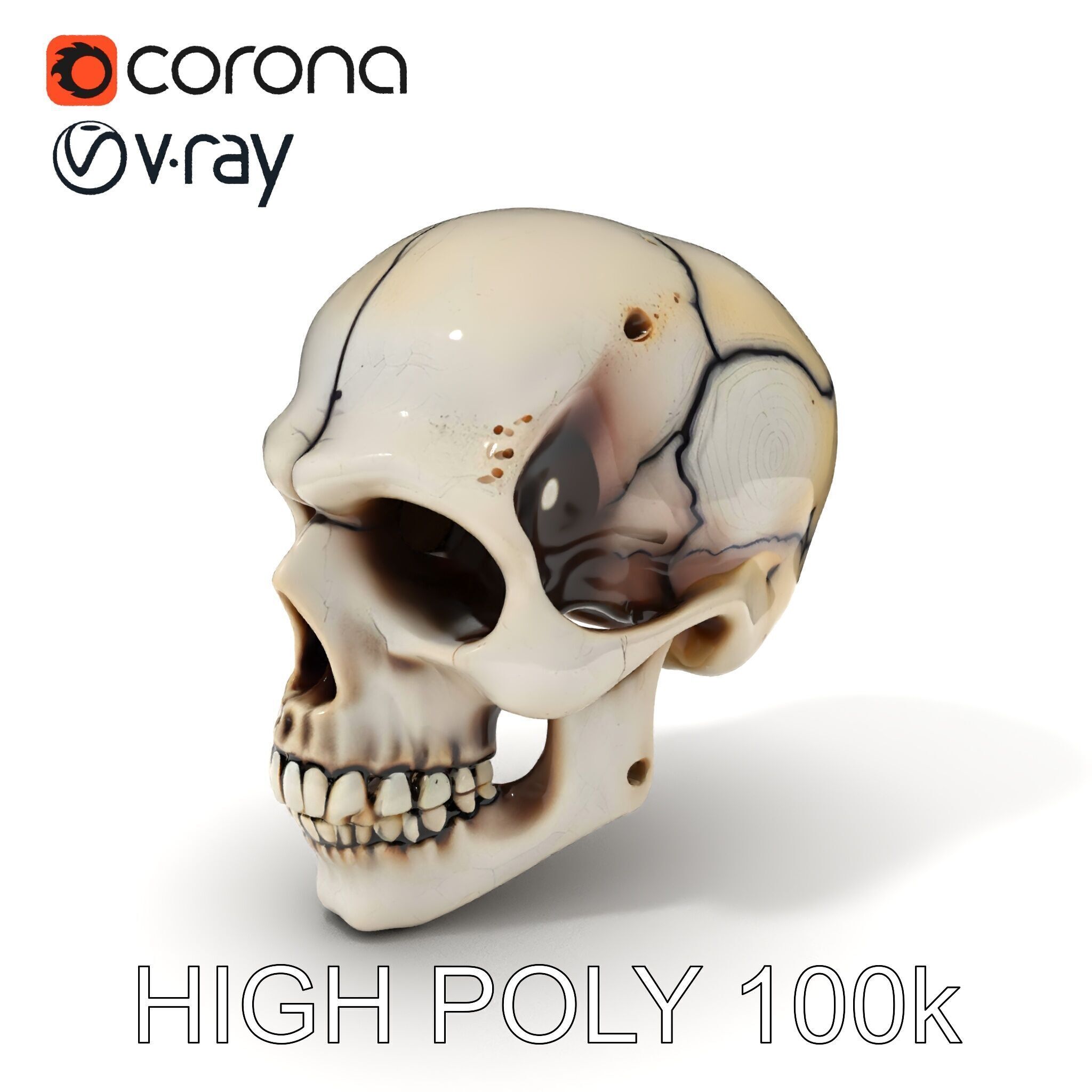 Human Skull Detailed Model Pack Low-poly 3D model_3