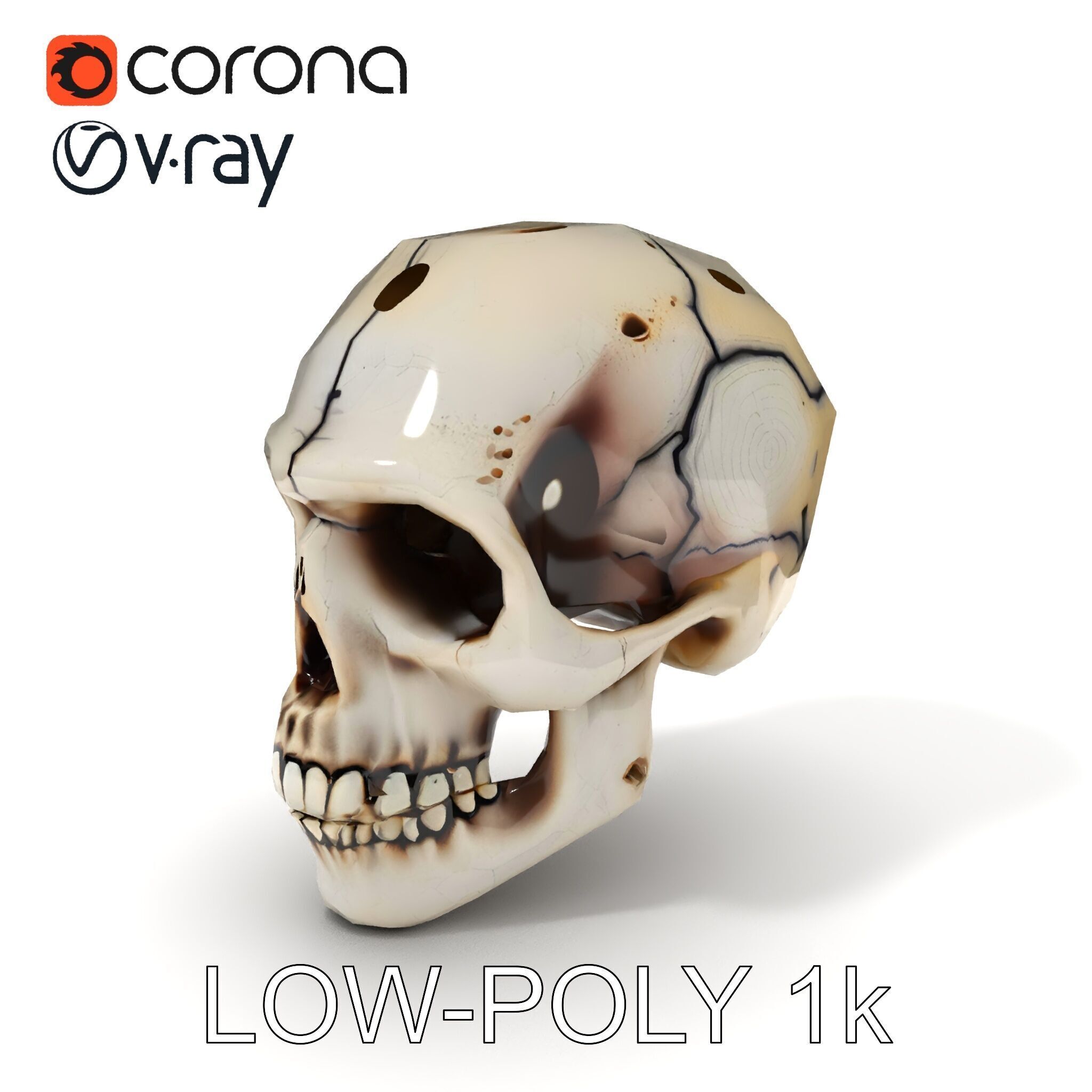 Human Skull Detailed Model Pack Low-poly 3D model_10