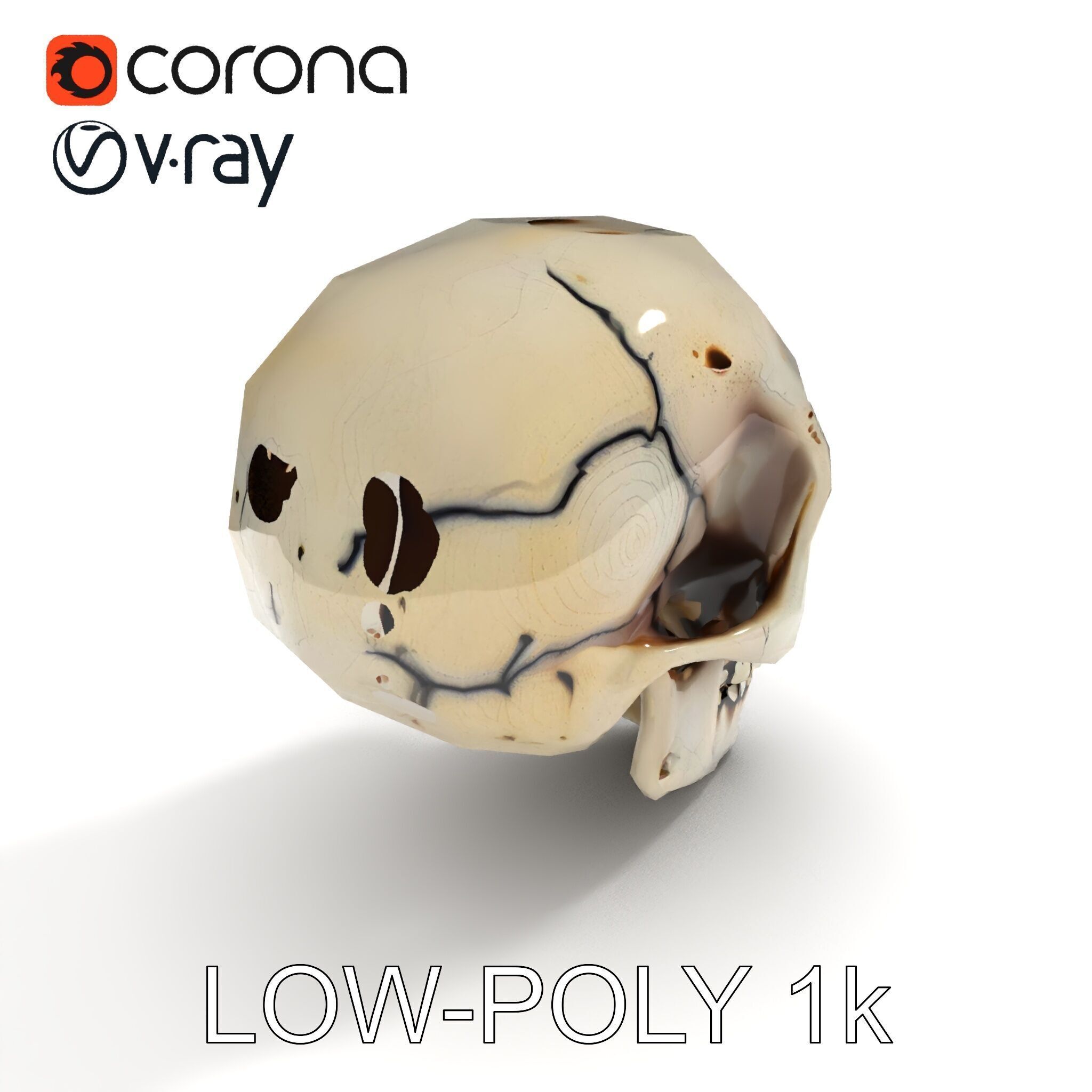 Human Skull Detailed Model Pack Low-poly 3D model_24