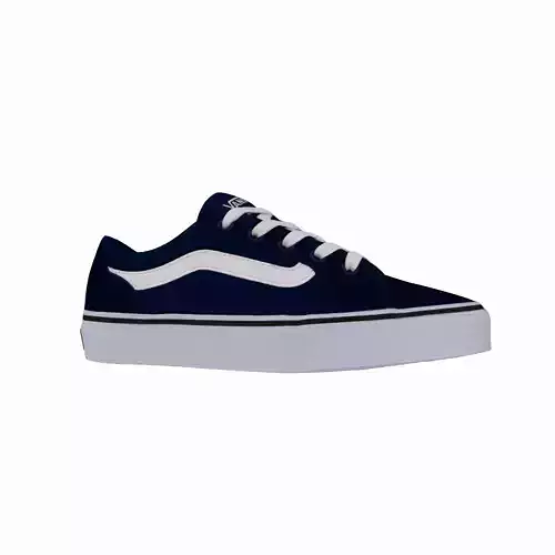 Vans Filmore Decon