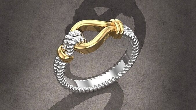 Braided Double Ring 3D print model