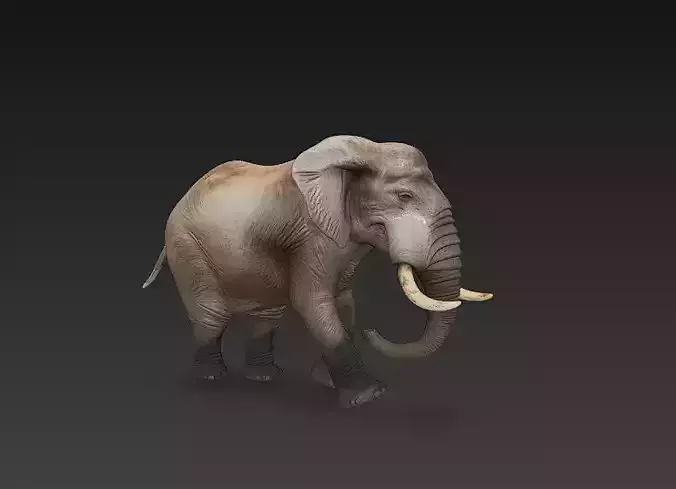 Elephant 3D Model Basic - Low Poly Simple 