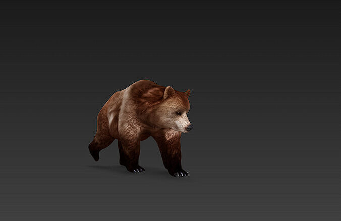 Brown Bear 3D Model Basic - Low Poly Simple  Low-poly 3D model