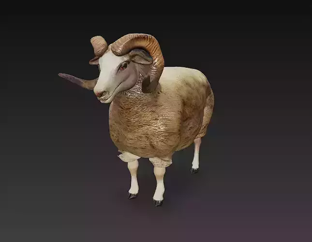 Ram 3D Model Basic - Low Poly Simple 