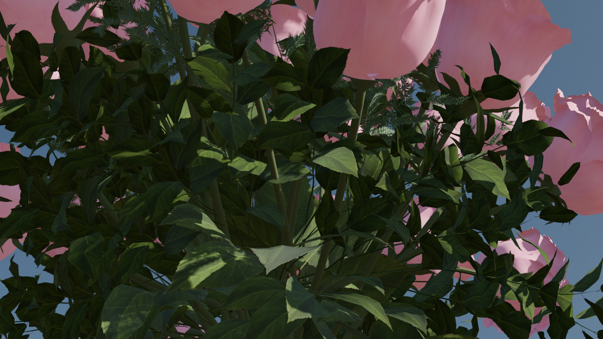 Pink rose 3D model  3D model_9