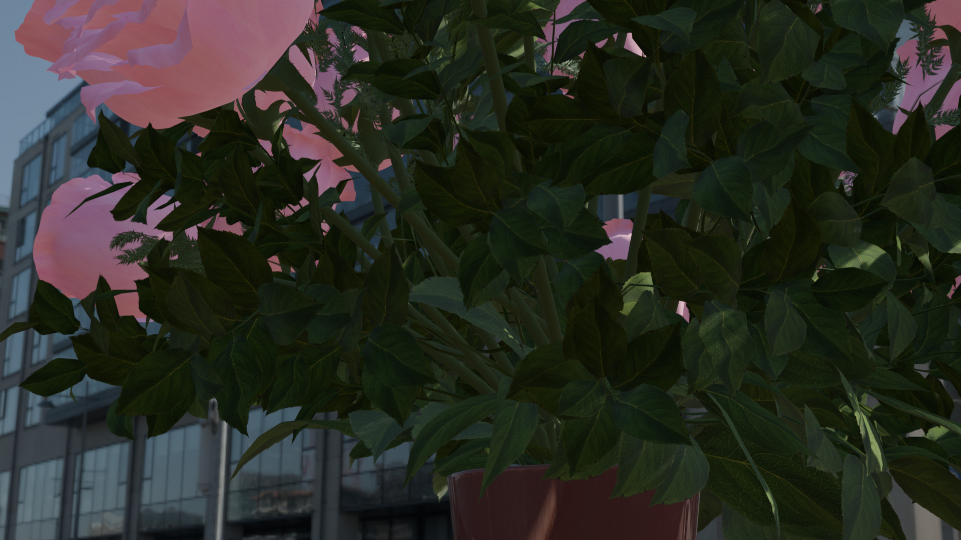 Pink rose 3D model  3D model_18