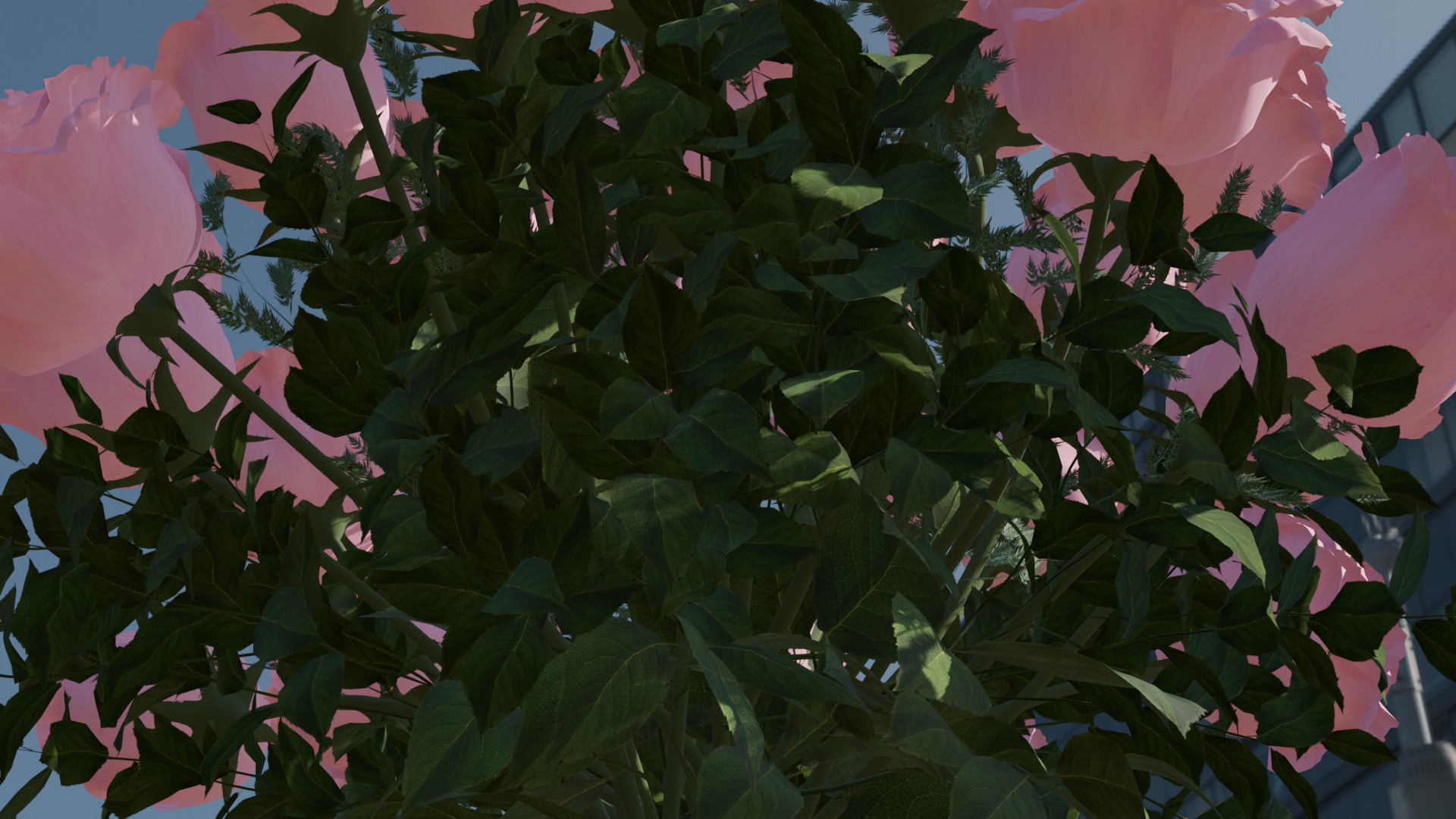 Pink rose 3D model  3D model_12