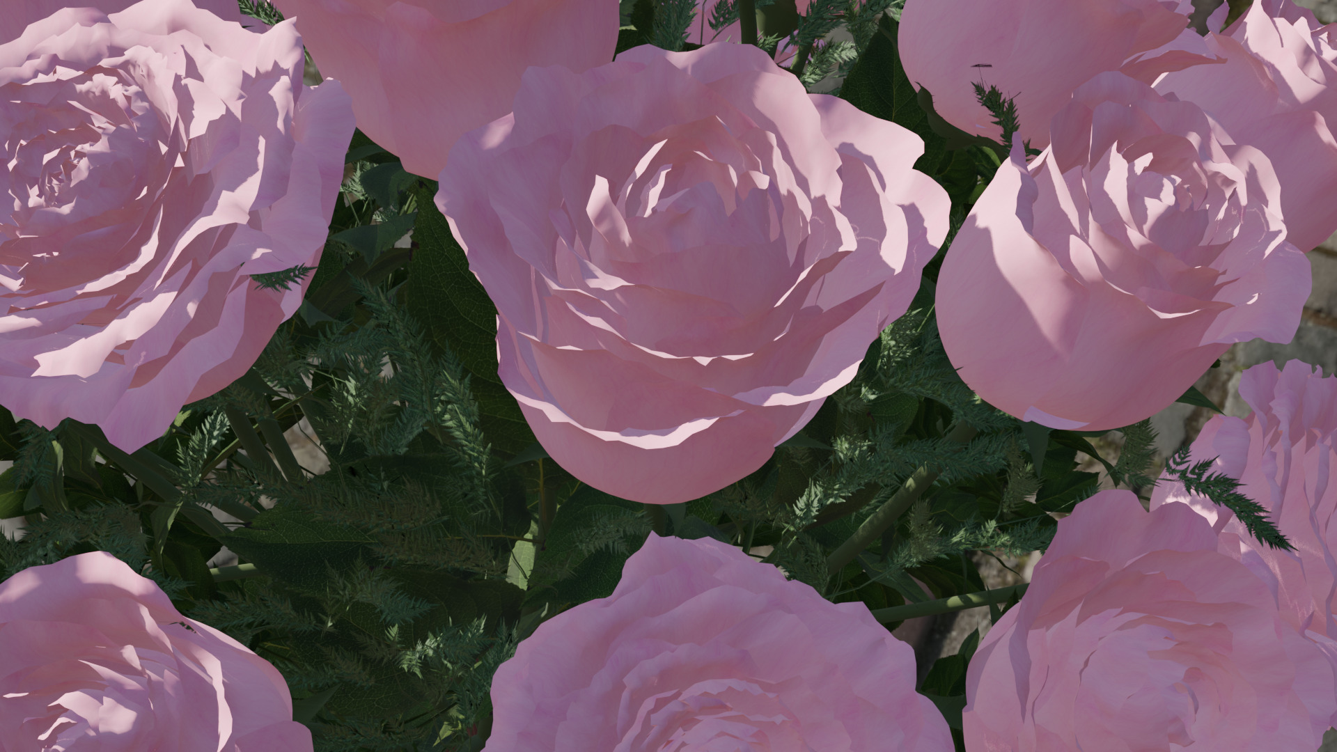 Pink rose 3D model  3D model_6