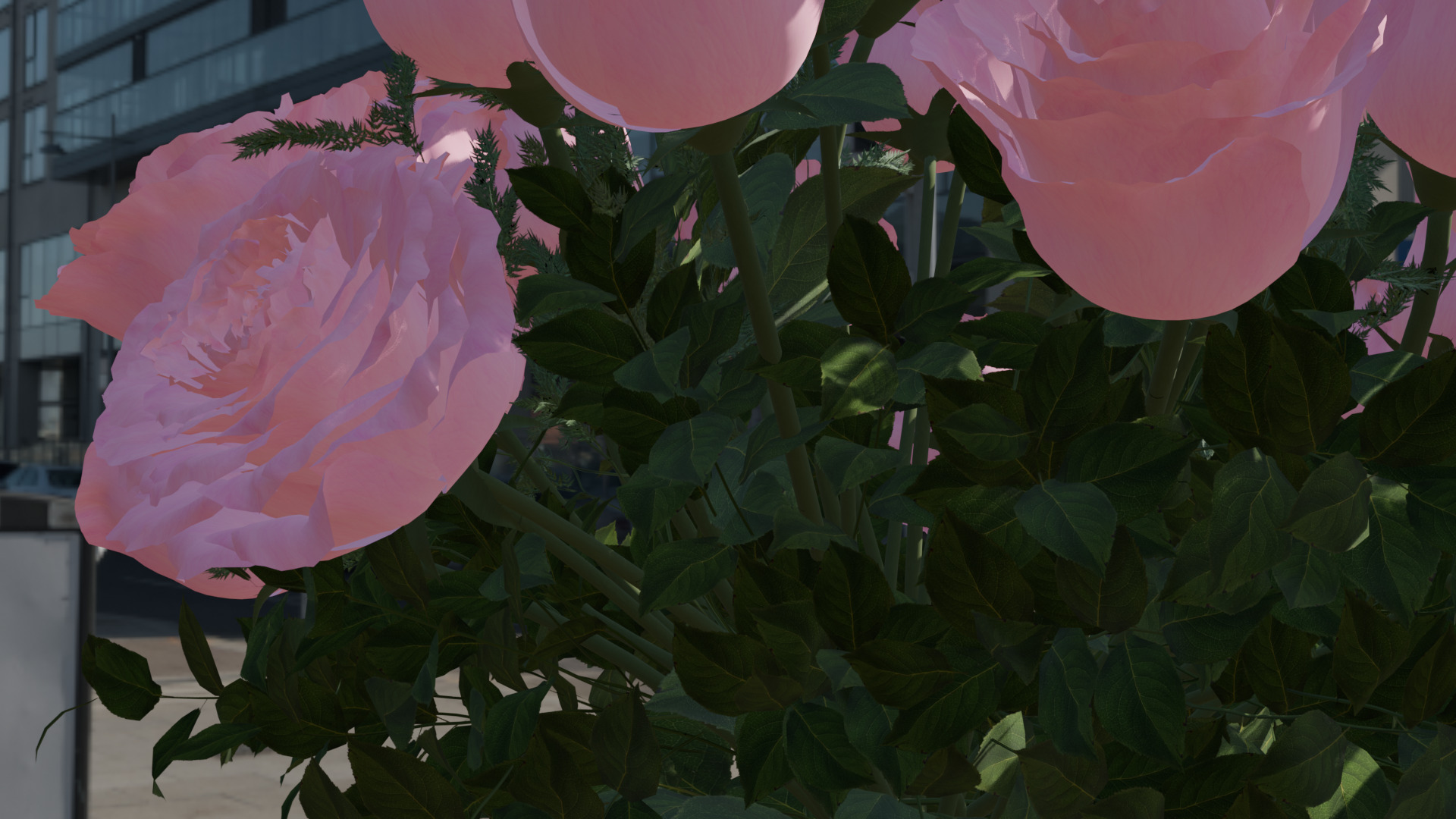 Pink rose 3D model  3D model_19