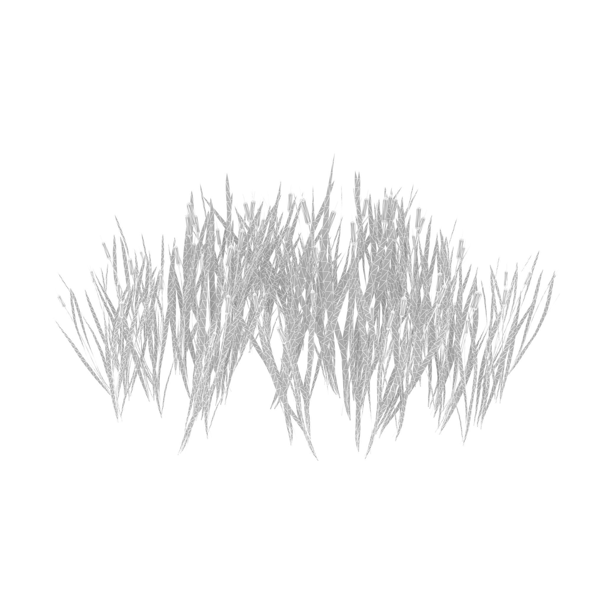 Bulrush grass Low-poly 3D model_1