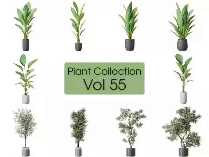 Plants collection vol 55  