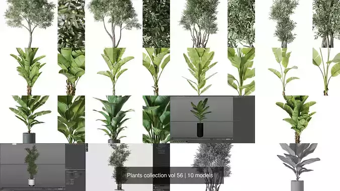 Plants collection vol 56