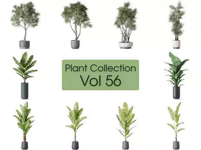 Plants collection vol 56  Plants collection vol 56