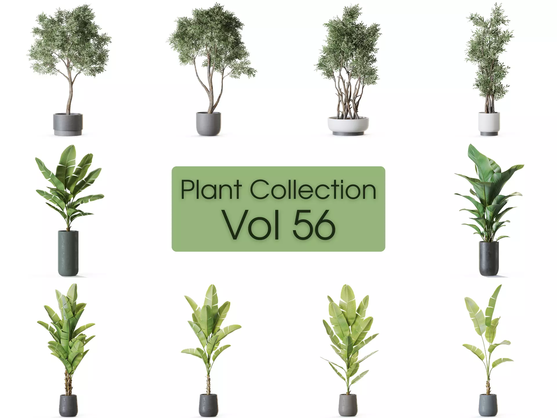 Plants collection vol 56 _0