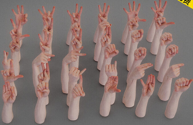 Finger gestures refer to the hands 3D model