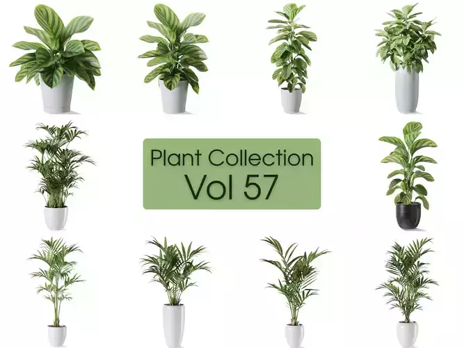 Plants collection vol 57 