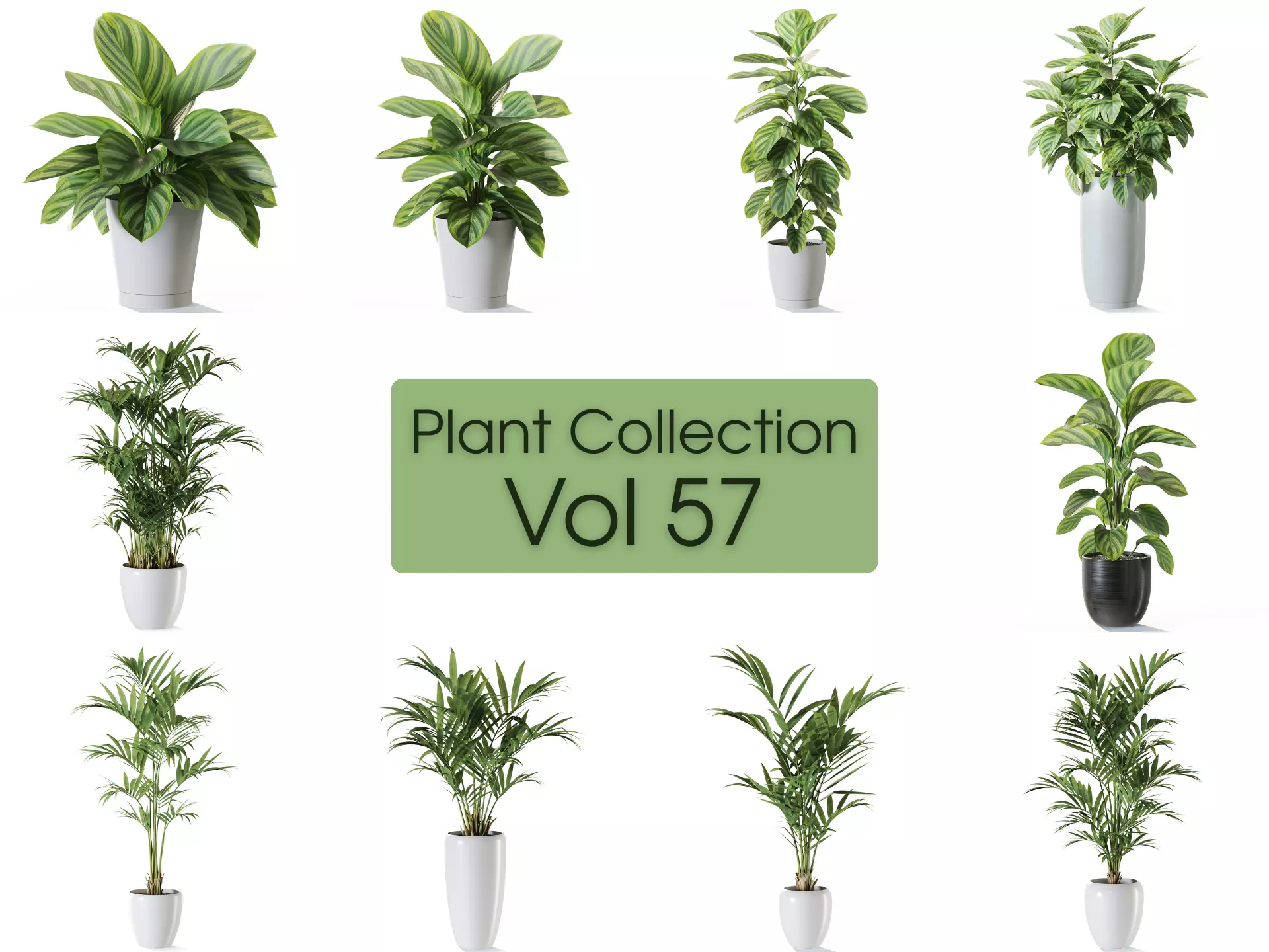 Plants collection vol 57 _0