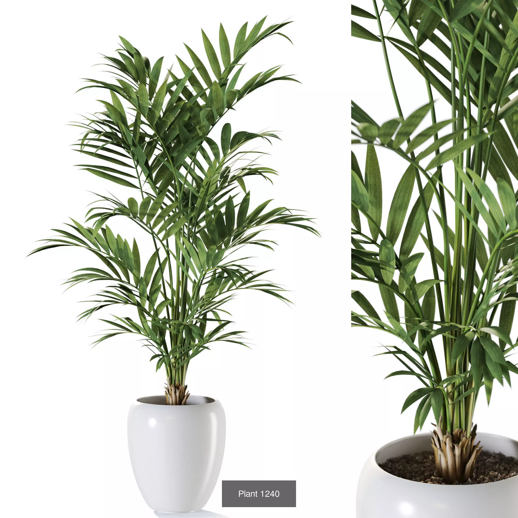 Plants collection vol 57 _11