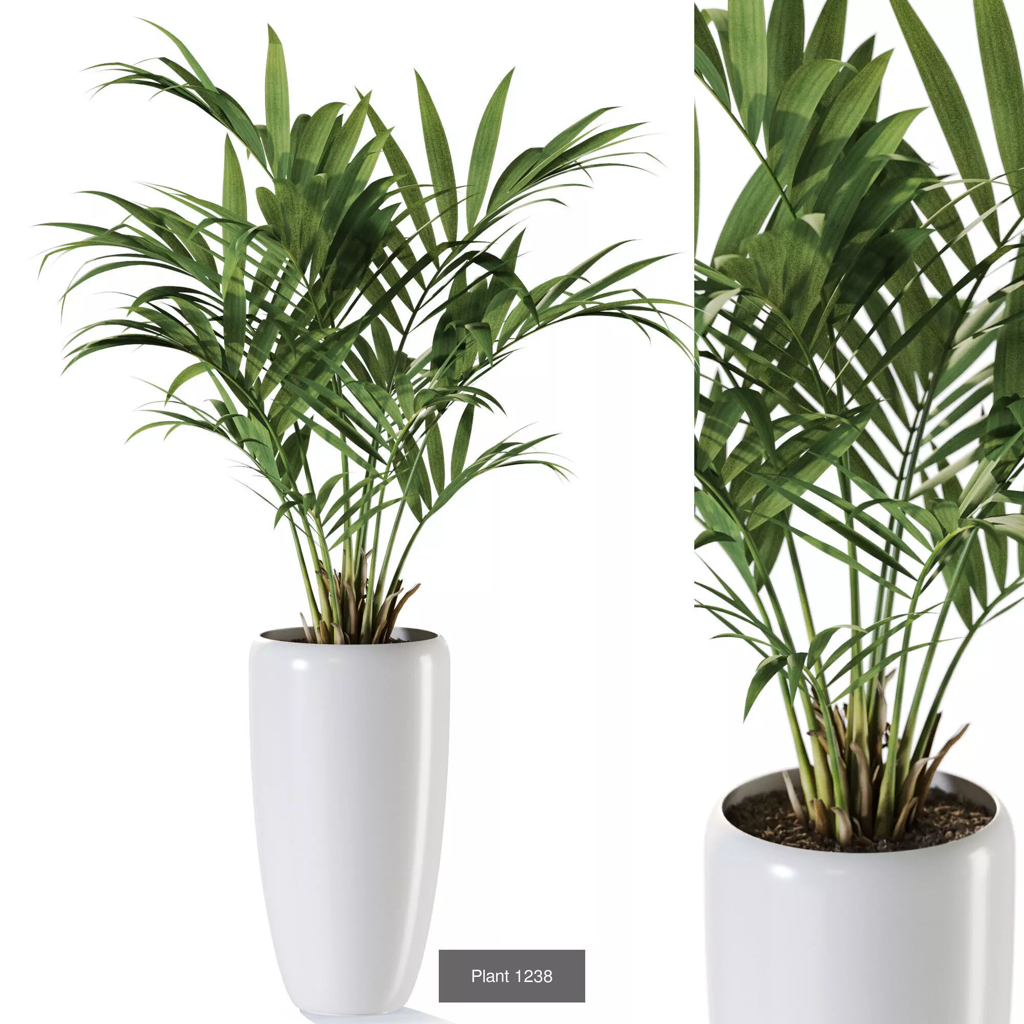 Plants collection vol 57 _9