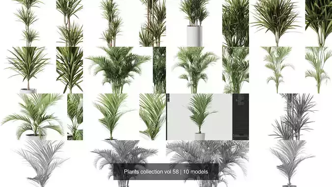 Plants collection vol 58