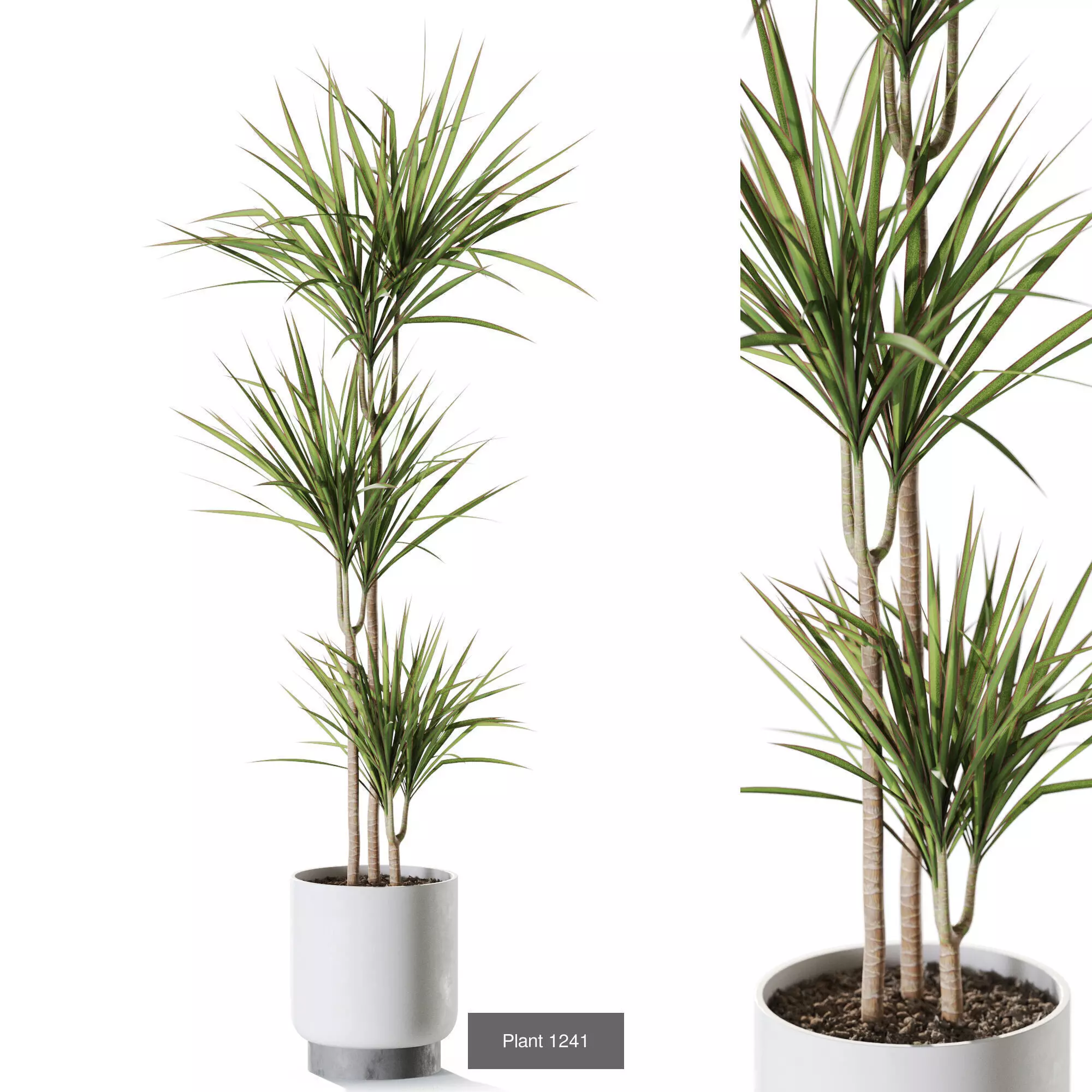 Plants collection vol 58 _2