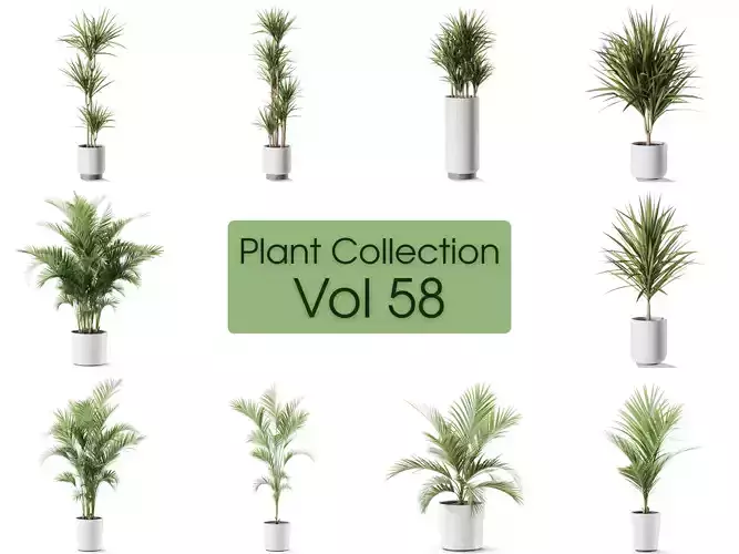 Plants collection vol 58 