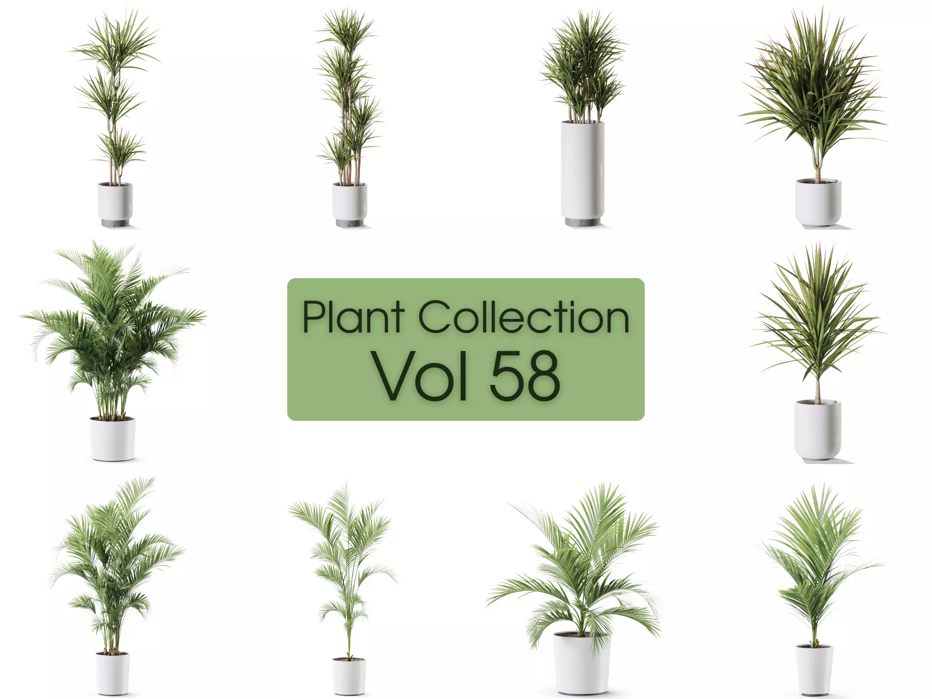 Plants collection vol 58 _0