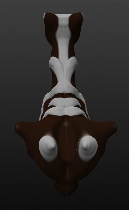 MagicalGoatCugdel human torso Free 3D model_8