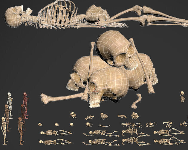 Human bone remains and corpses 3D model