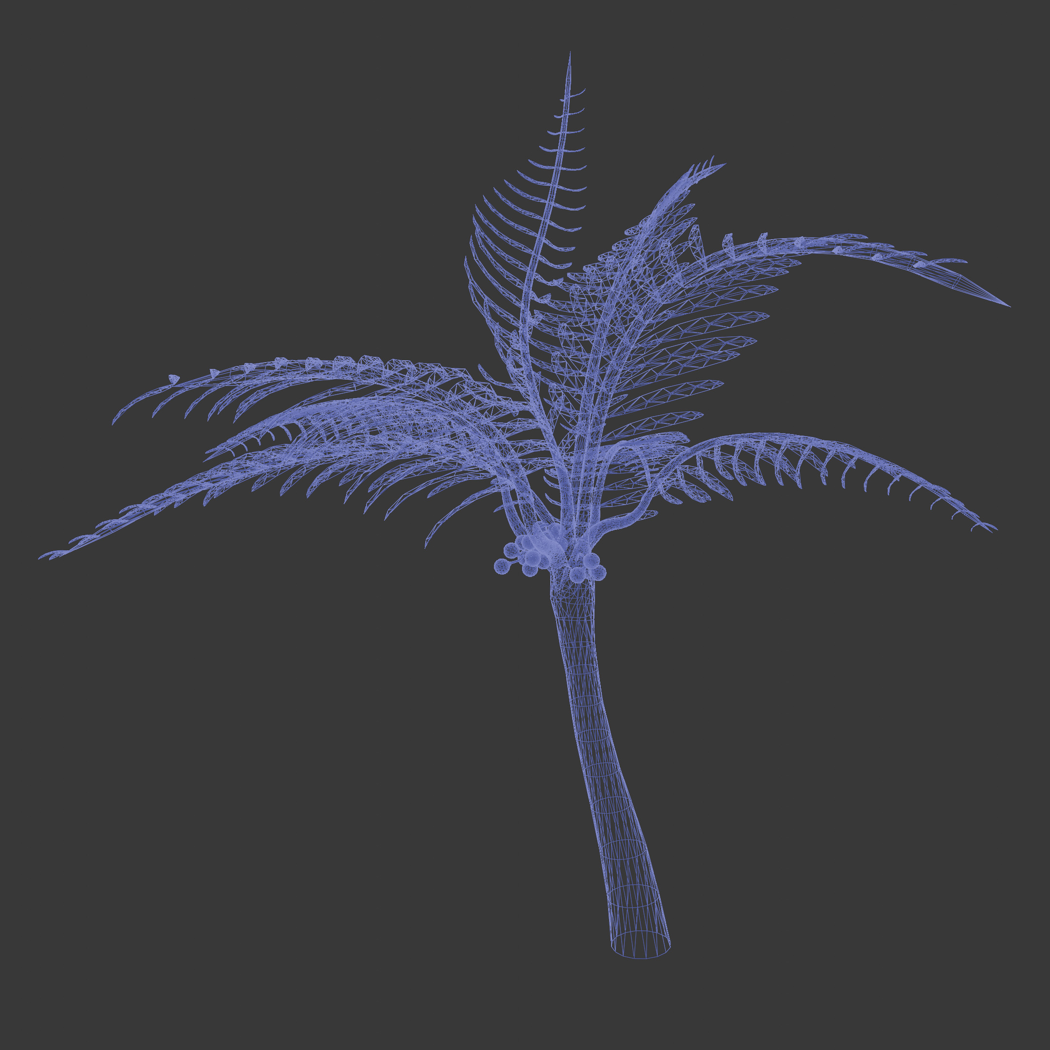 Tropical Coconut Tree Low-poly 3D model_3