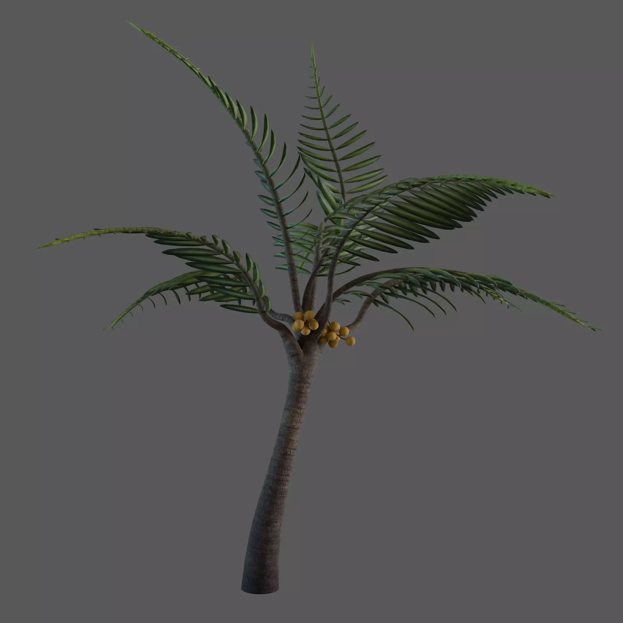Tropical Coconut Tree Low-poly 3D model_0