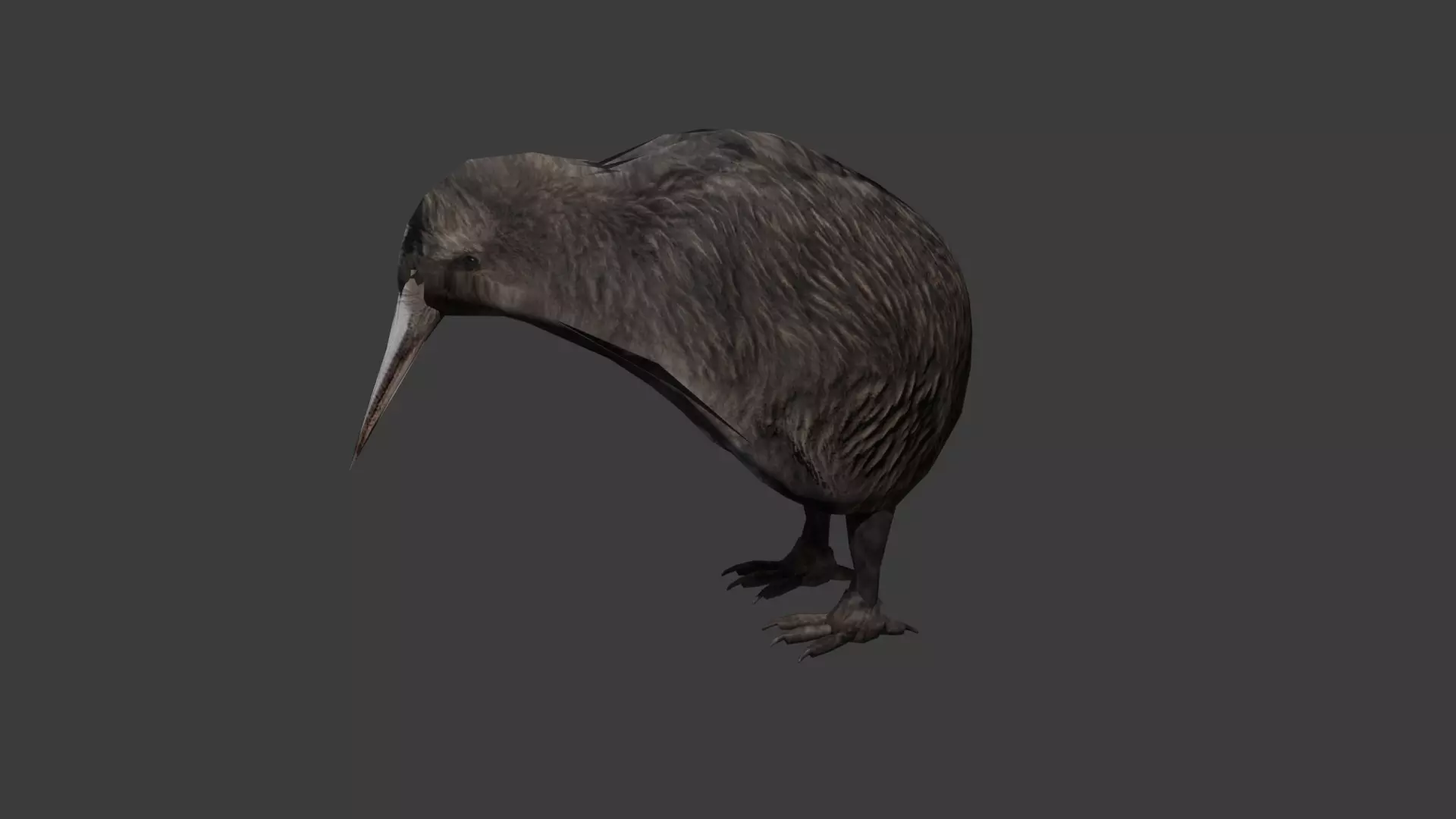 Classic Kiwi BIrd Low-poly 3D model_0