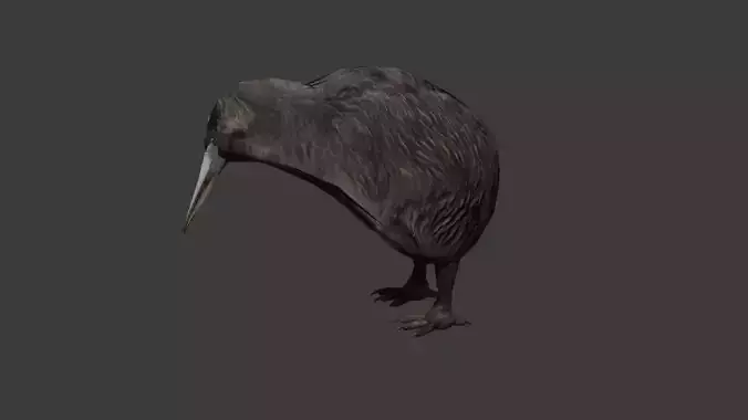 Classic Kiwi BIrd 
