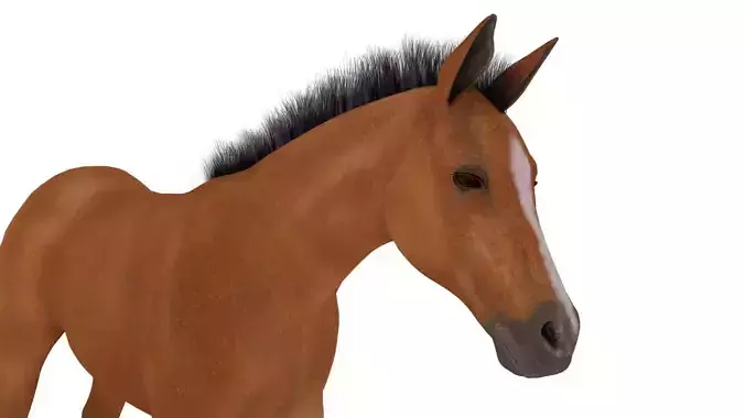 horse 3d  Low-poly 3D model