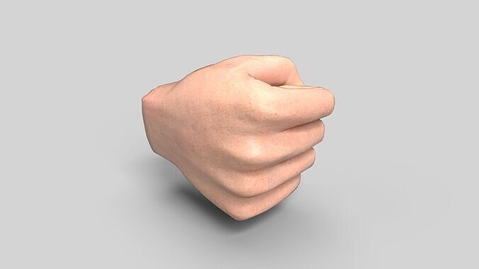 Fist CG1 3D model