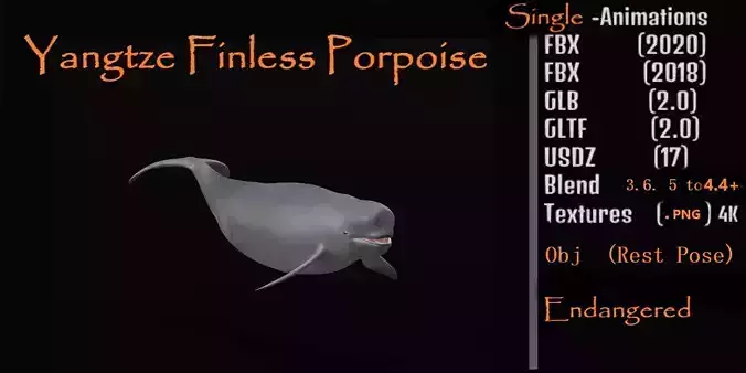 Yangtze Finless Porpoise