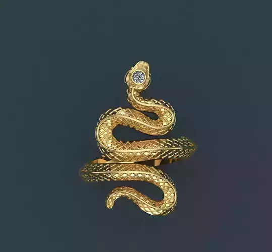 Snake Ringggg 3D print model