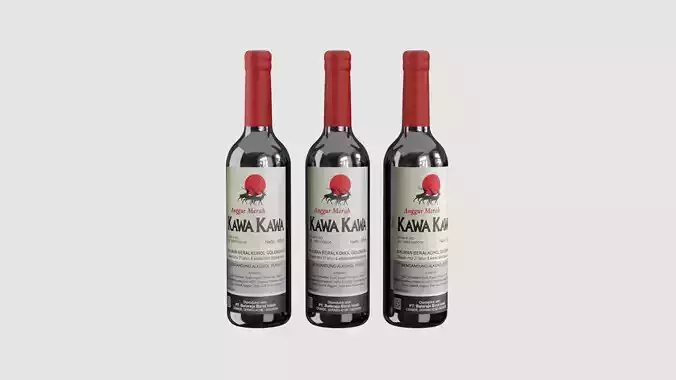 Kawa Kawa Red Wine Bottle 3D model