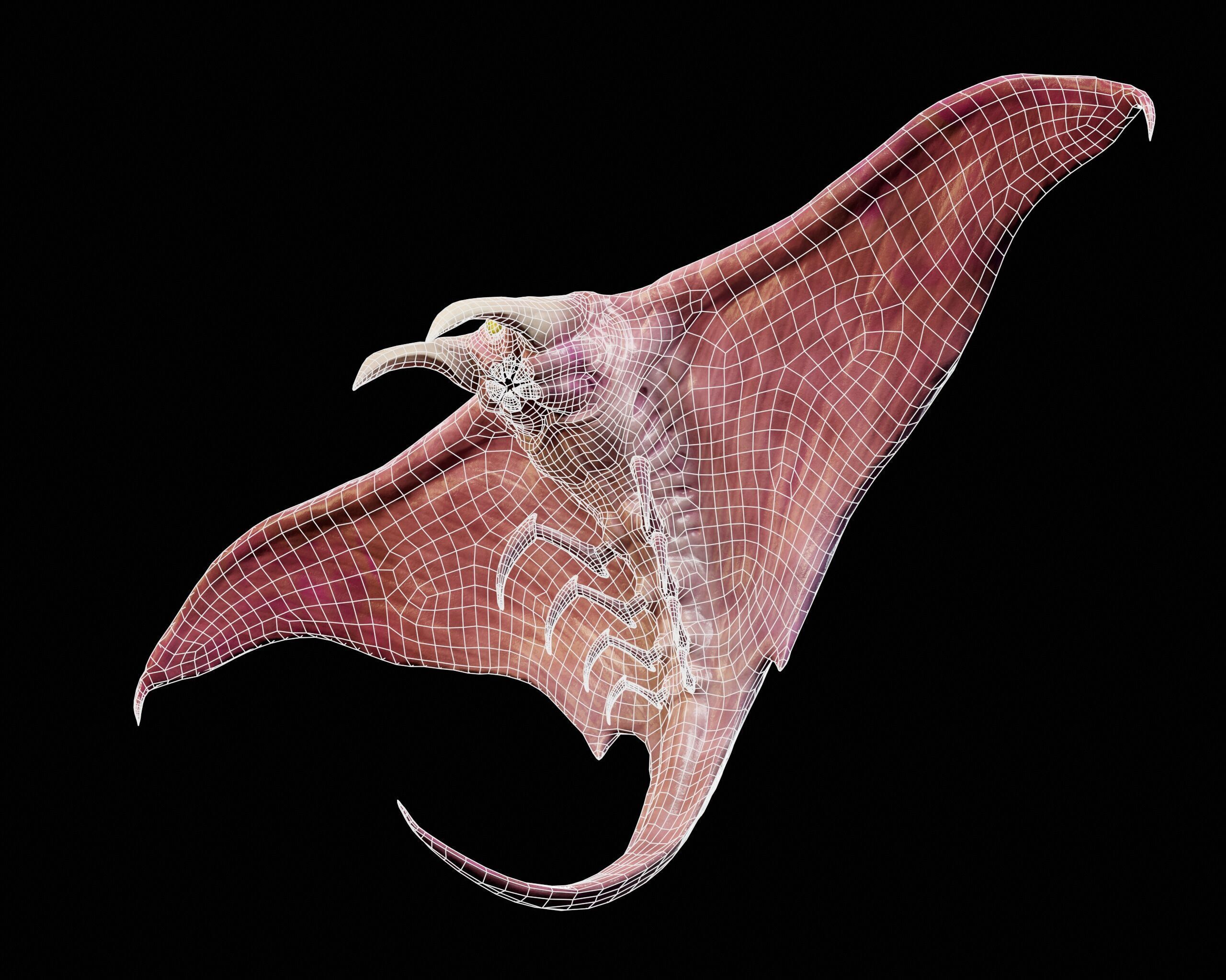 Sci-Fi Alien Bug Creature  Low-poly 3D model_9