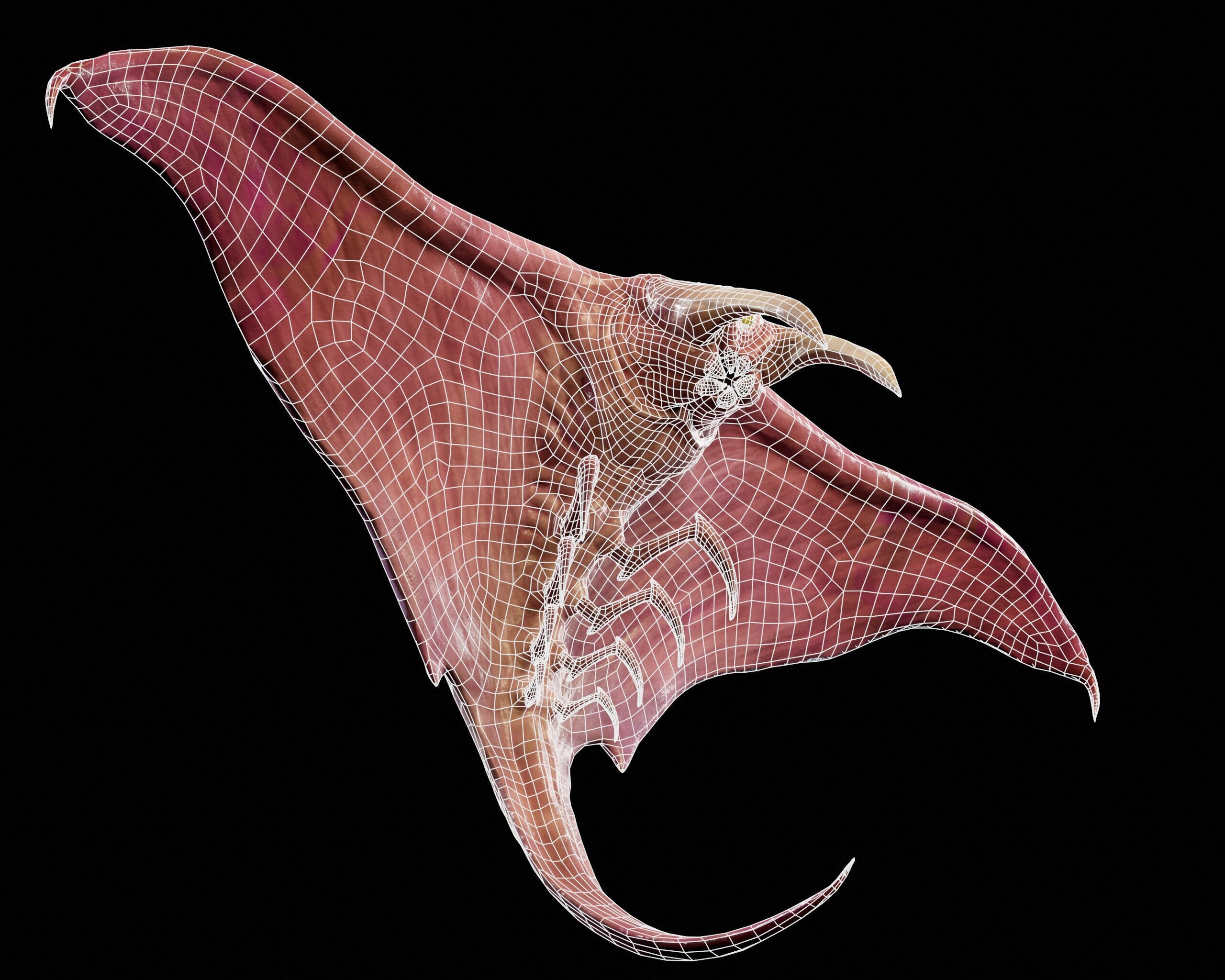 Sci-Fi Alien Bug Creature  Low-poly 3D model_11